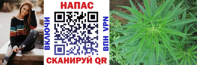 Марихуана THC 21% закладка МЕГА как зайти Электрогорск